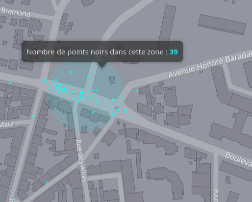 cartographie des points noirs 2019 sur le carrefour